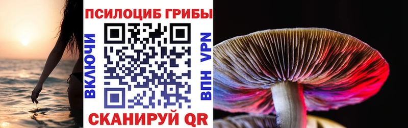цены Коряжма ссылка на мегу ТОР Псилоцибиновые грибы мухоморы